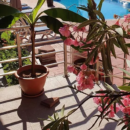 Apartament Cacao Sunny Beach